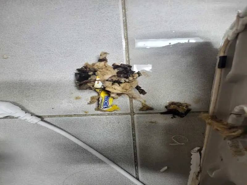시흥 배관 이물질 제거 사례 4